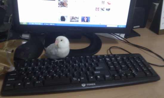오늘은별 이미지