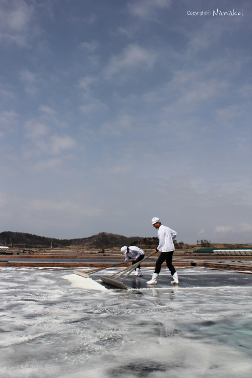 (주)새암푸드먼트 이미지
