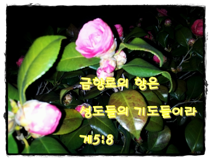 (주)한교연 이미지