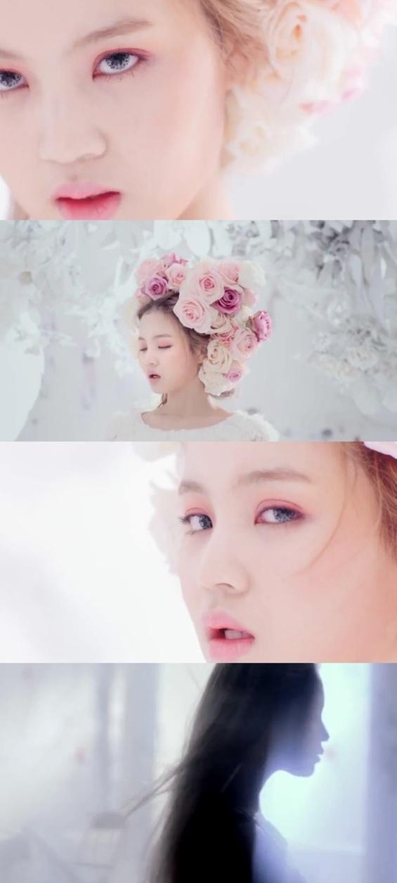 로즈(Rose) 이미지