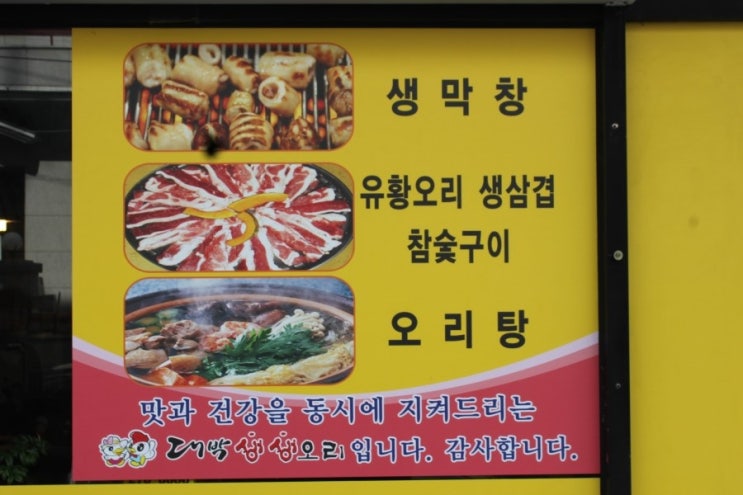 생생오리 이미지