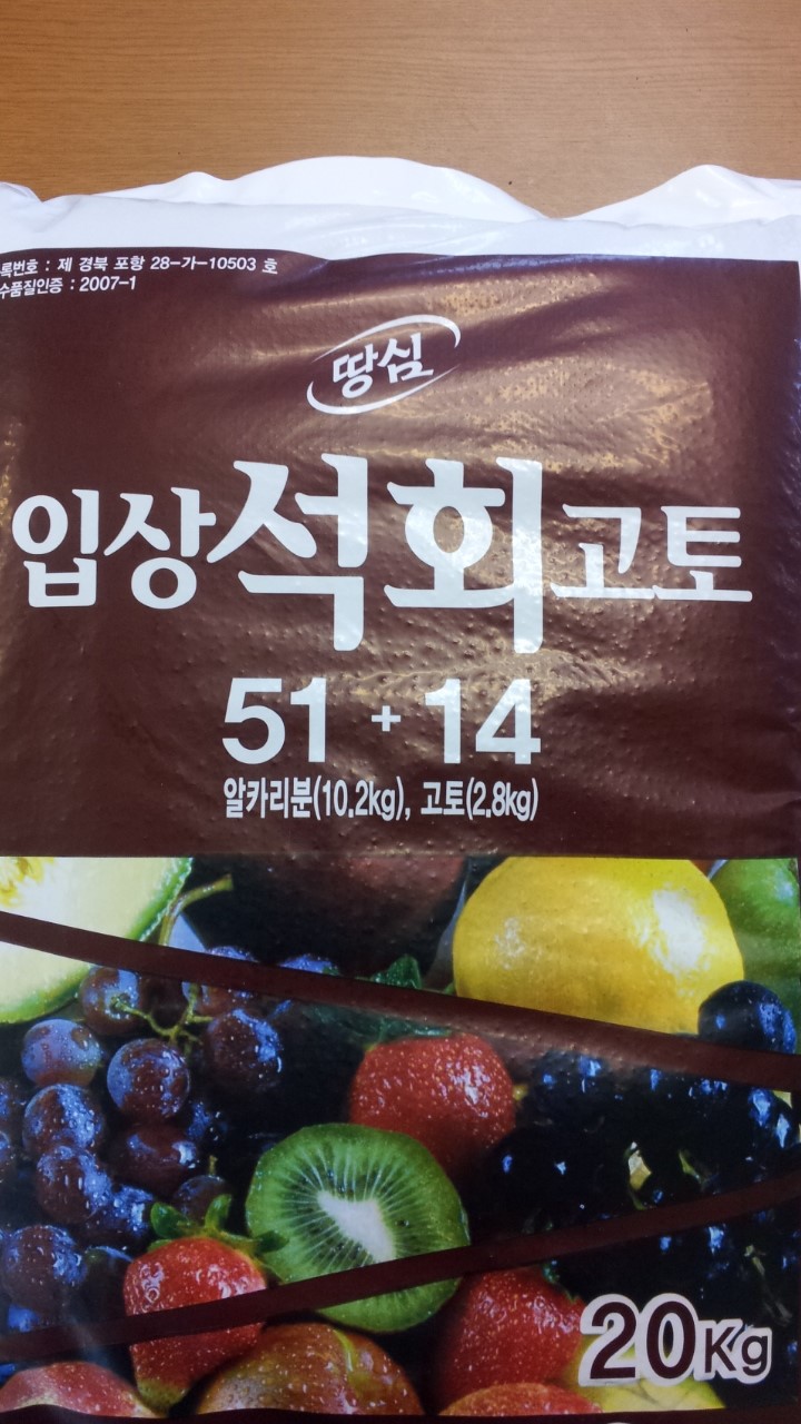 고토고토 이미지