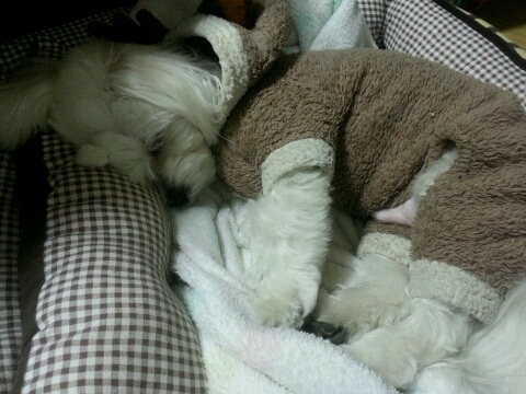 오엠지비즈 이미지
