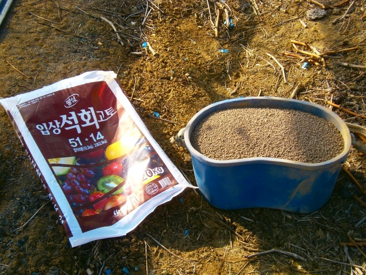 고토고토 이미지