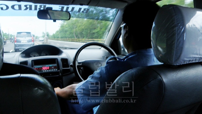 블루버드(Blue bird) 이미지