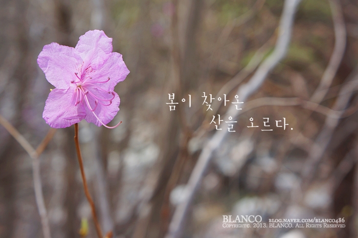 학동네 이미지