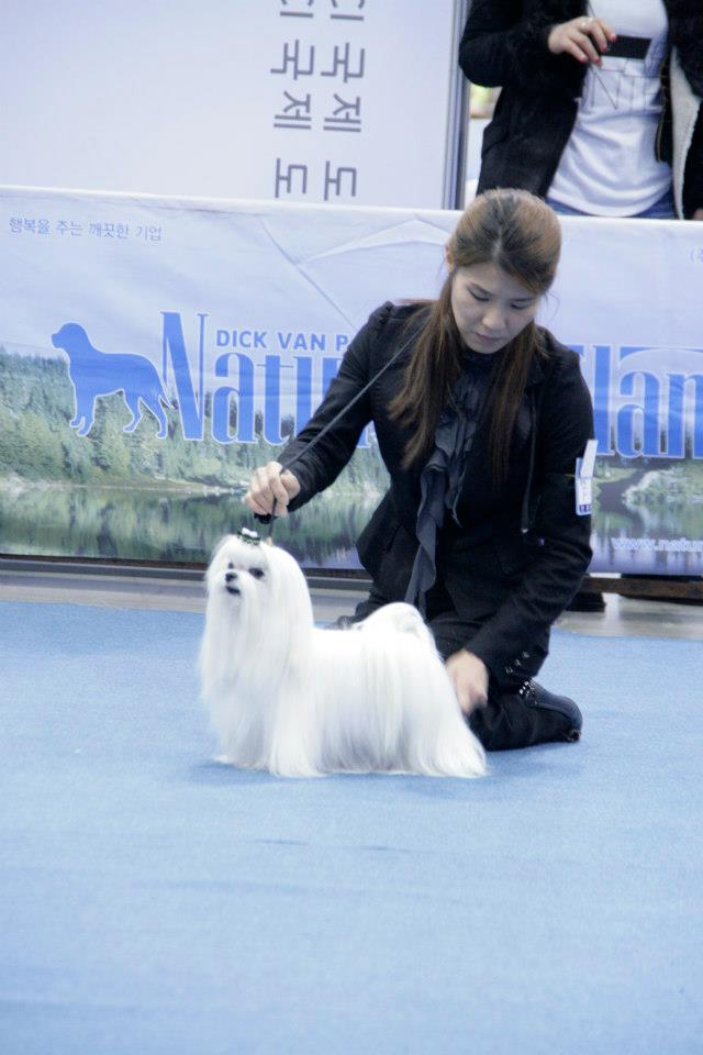 코스모인터 이미지