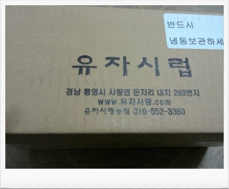 유자사랑농원 이미지
