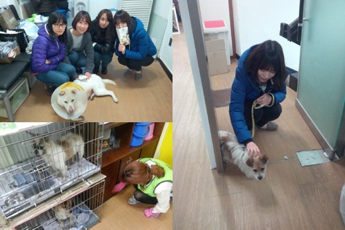 여우야뷰티 이미지