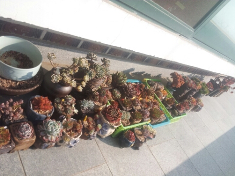 (주)골드피그 이미지