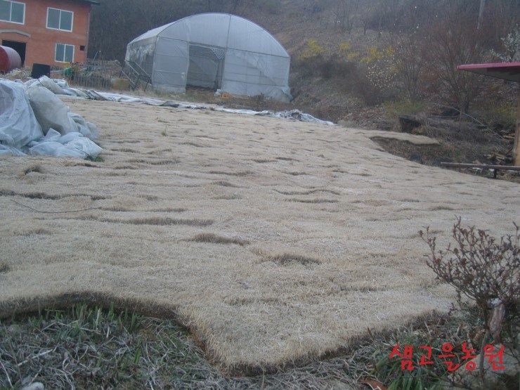 금잔디농원 이미지