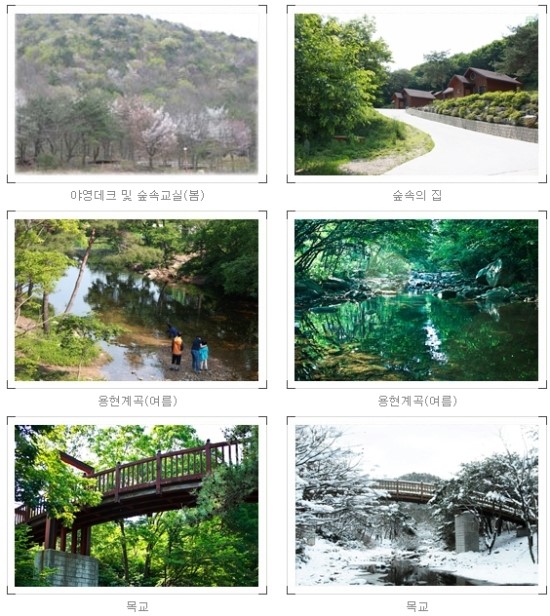 국립용현자연휴양림야영장 이미지