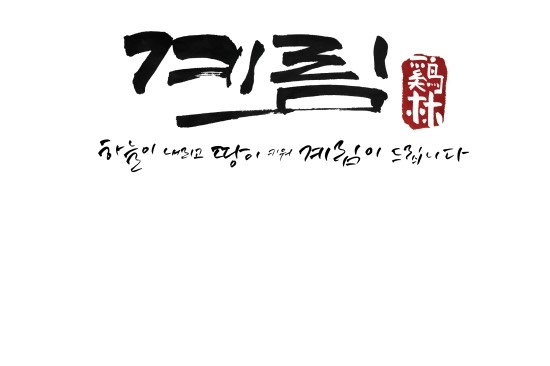 계림제약 이미지