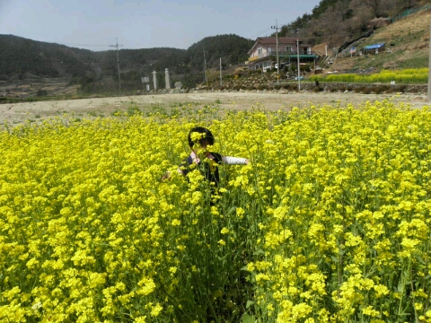 남해솔루션 이미지