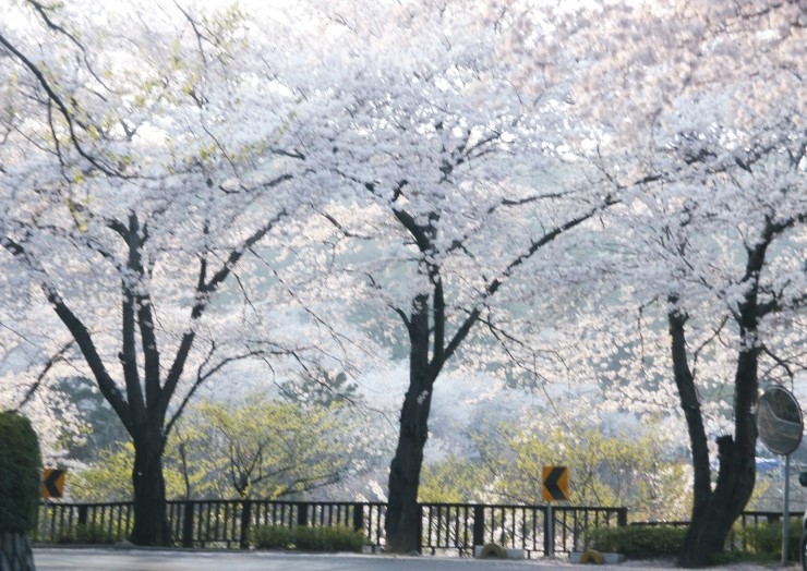 중원여행사 이미지