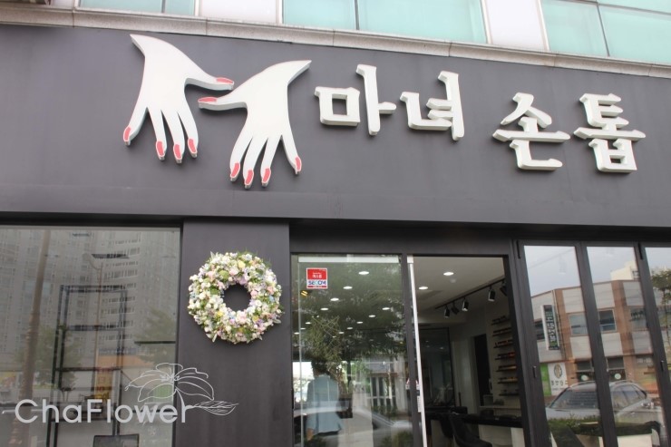 마녀손톱 이미지