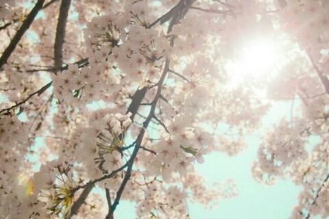 사계절미용실 이미지