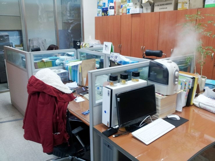 대성세무회계사무소 이미지