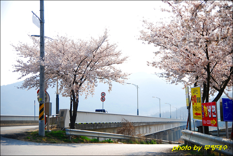 다사공원 이미지