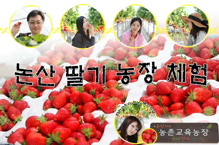 굿모닝농원 이미지
