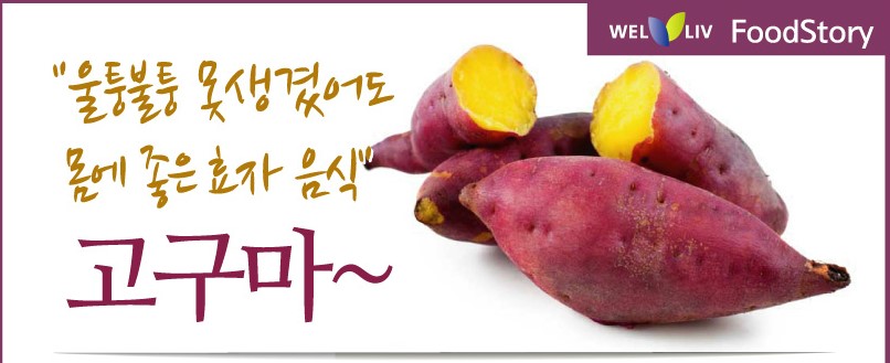 (주)웰리브 이미지