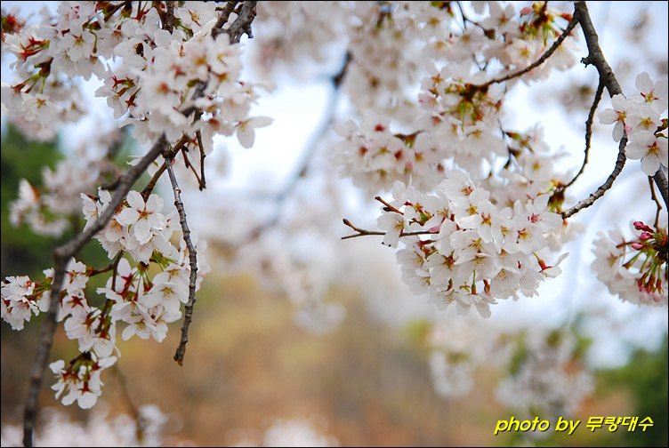 다사공원 이미지
