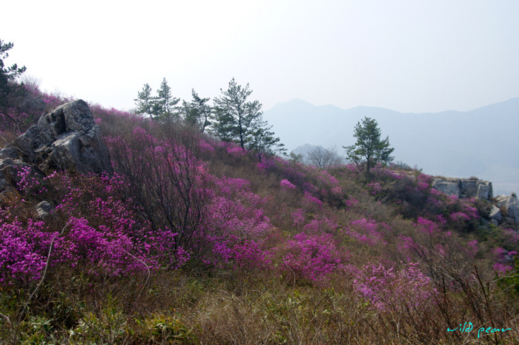 산이좋은사람들MLP 이미지