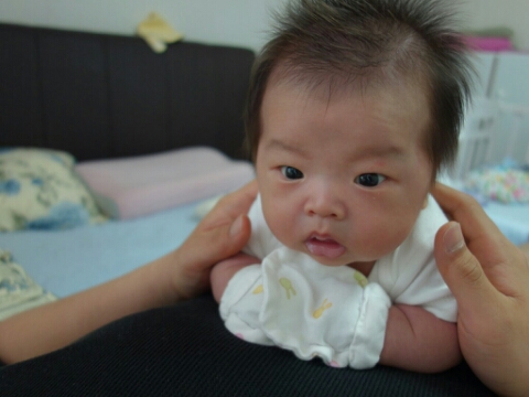 (주)준모 이미지