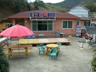 물안민박 이미지