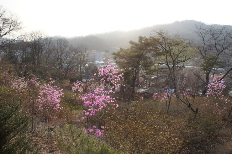 산마을관광농원 이미지