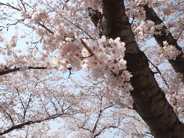 호수별 이미지