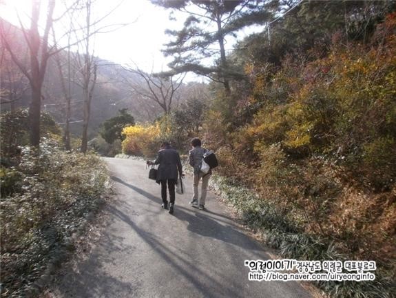 자굴산치유수목원 이미지