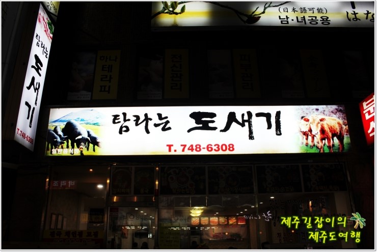 연동탐라 이미지