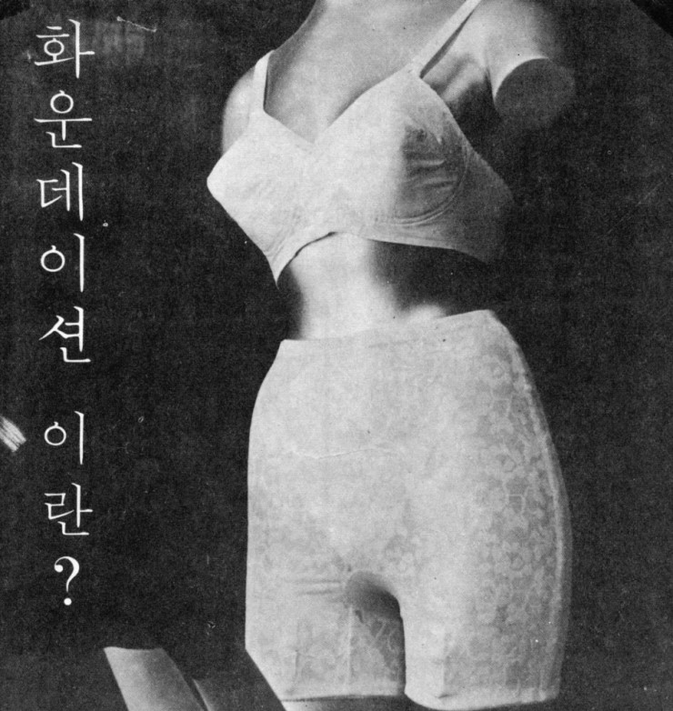 속옷나라 이미지