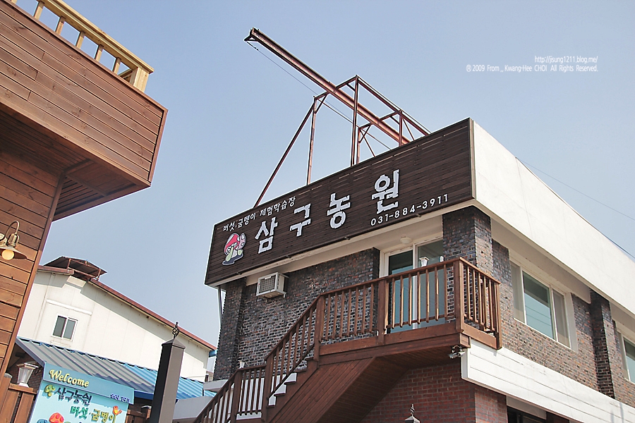 명성굼벵이 이미지