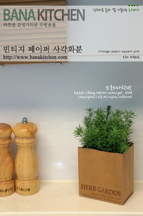 바나빈티지 이미지