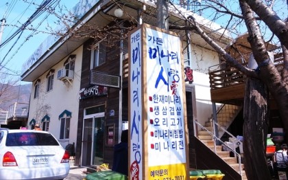 미나리사랑 이미지