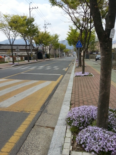 제주생고기촌 이미지