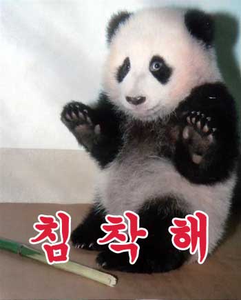 피자명 이미지