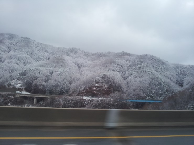 (주)나이스투어 이미지