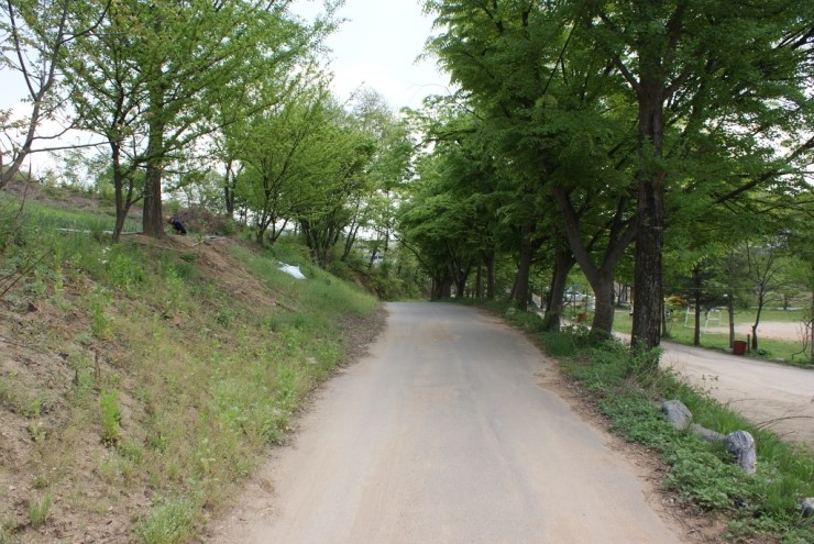 산방농장 이미지