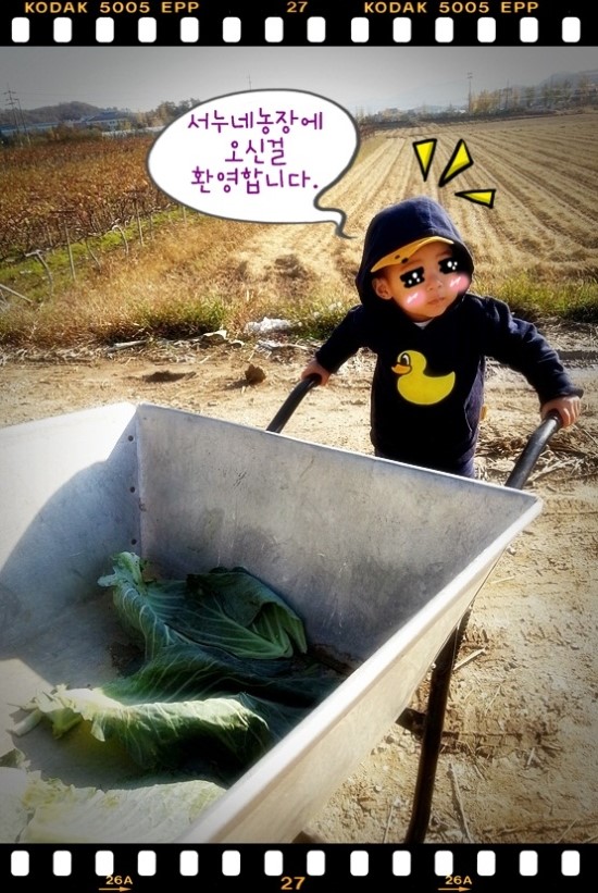 서누네농장 이미지