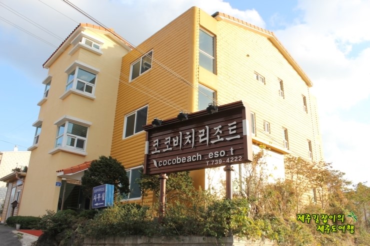 웰빙코코 이미지