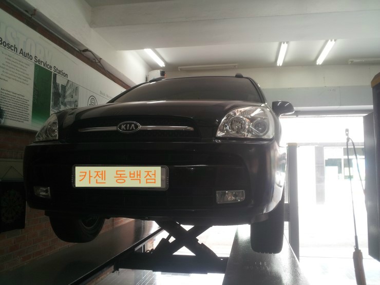 월드카젠 이미지