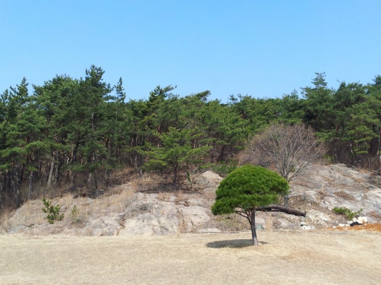 풀꽃펜션 이미지