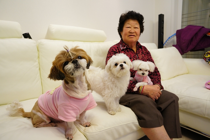 학동네 이미지