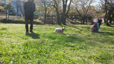 희준로또 이미지