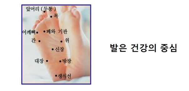 강북총판 이미지