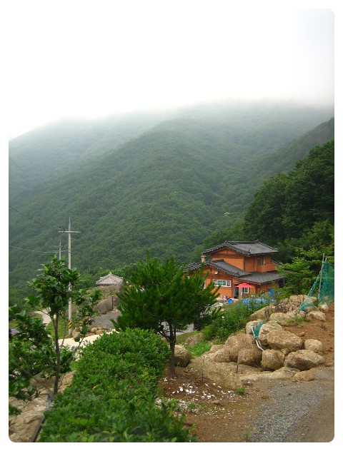광양참숯불구이 이미지