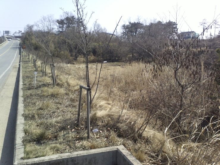 장고항주유소 이미지